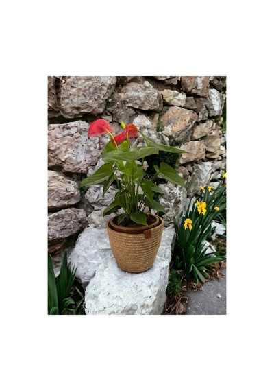 Dekoratif Jüt Hasır Saksılık Havluluk Organizer 30x30 Cm Kırçıl Kırçıl