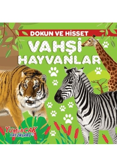 Dokun Ve Hisset Vahşi Hayvanlar