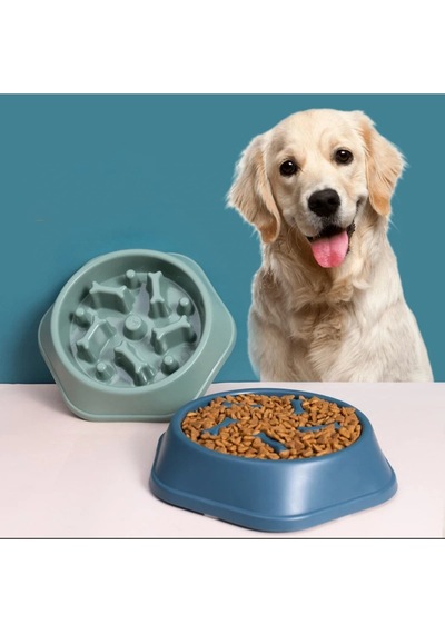 Kedi-köpek Yavaş Yeme Mama Kabı  Sindirim Düzenleyici Mama Kabı Çok Renkli