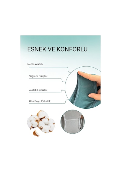 Alya Underwear Kadın Pamuklu Hipster - Slip Külot 5 Farklı Renk 1 Pakette Multicolor-p10