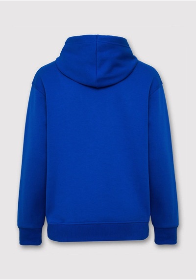 Mavi Logo Nakışlı Kapüşonlu Mavi Erkek Sweatshirt M065809-70896