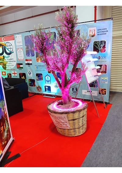 Palmiye Çember Aydınlatma Ip67 35cm