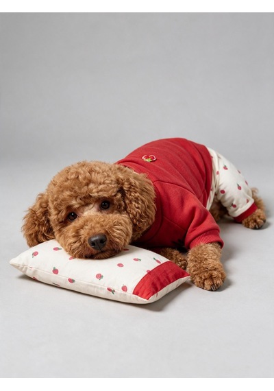 Tatlı Çilek Köpek Rüyası Pamuklu Çilekli Köpek Tulumu, Kırmızı Sweatshirt Ve Mini Yastık 3 Parça