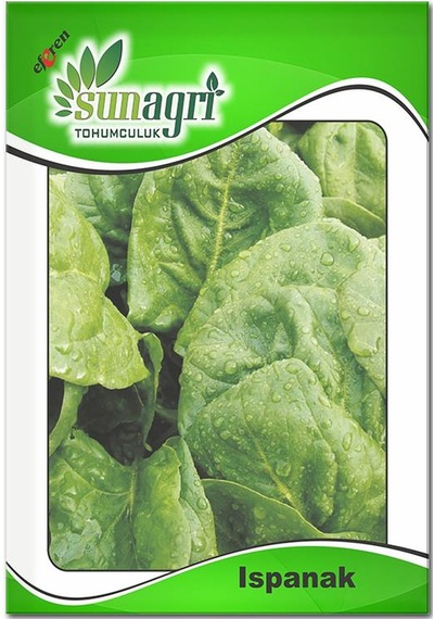 Ispanak Tohumu 10 GR