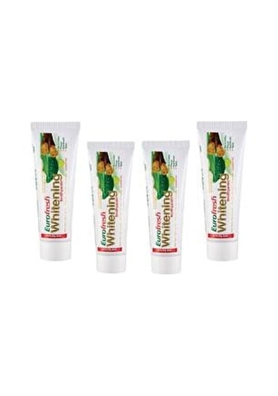 Farmasi Euro Fresh Whitening Aloe Veralı Misvaklı Beyazlatıcı Diş Macunu 4 x 112 G