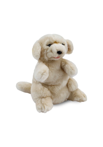 Golden Retriever Kukla (Tüm Beden) 30 cm