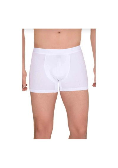 Berrak 4476 Erkek Modal Likralı Boxer 6 Adet Beyaz