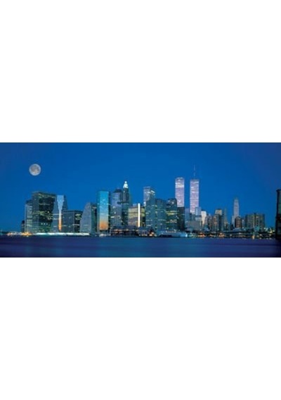 Educa New York Skyline