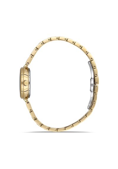 Ferro Fl21617awt-b4 Quartz Çelik Altın Rengi 26 Mm Kadın Kol Saati Altın