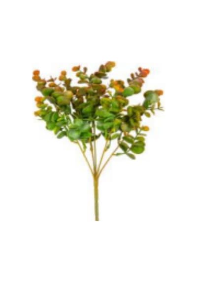 Yapay Çiçek Okaliptus Turuncu-yeşil 30 Cm. Çok Renkli