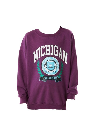 İrem Çocuk Giyim Kız Çocuk Michigan Yazı Desenli Mor Renk Mevsimlik Sweatshirt Mor