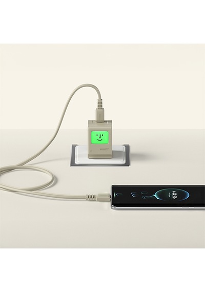 Sharge Retro Usb-c To Usb-c 100w Hızlı Şarj Kablosu - Gri
