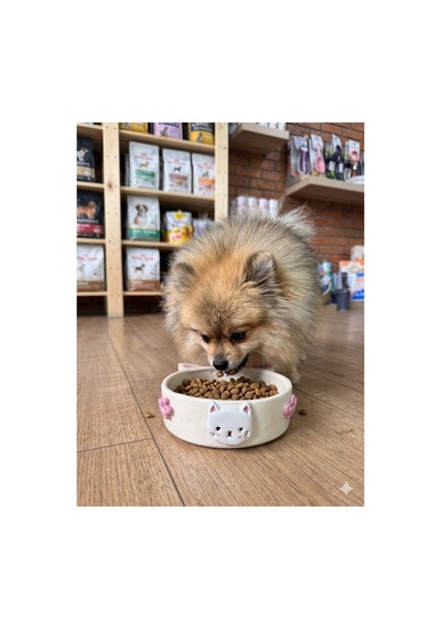 Pembe Çiçek Ve Hello Kitty Detaylı Mama Kabı - Kedi Ve Köpek