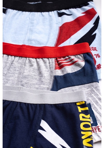 Öts Erkek Çocuk 3 Lü Pamuklu Boxer Baskılı Konfor Odaklı Tasarım 7235-3 Renkli