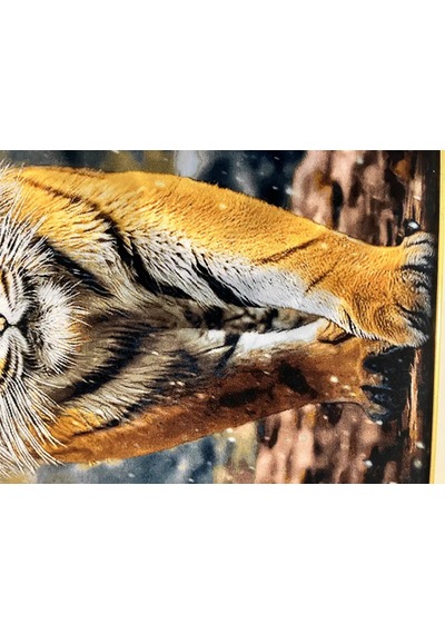 İran El Dokuma Tablo Halı 76x136 Cm - Savaşçı Kaplan Çok Renkli