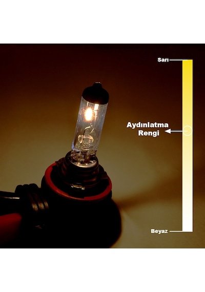 12V 55W H11 Standart Far Ampulü 64211