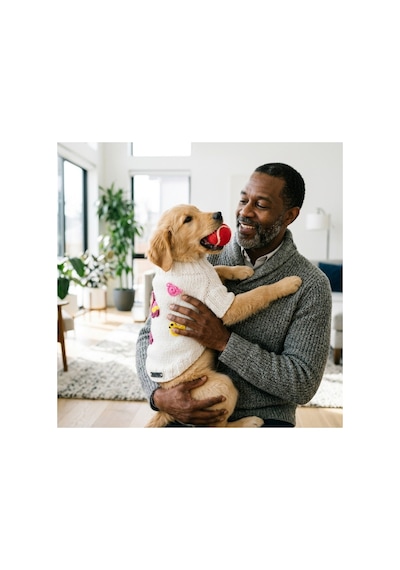 Kedi Ve Köpek İçin Butterbird Beyaz Kazak