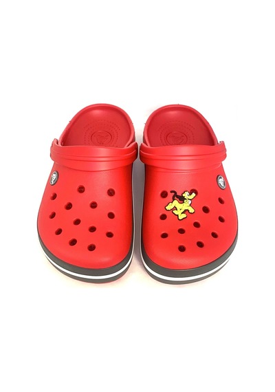 Crocs Terlik Süsü & Renkli Aksesuar Jibbitz (474782627)