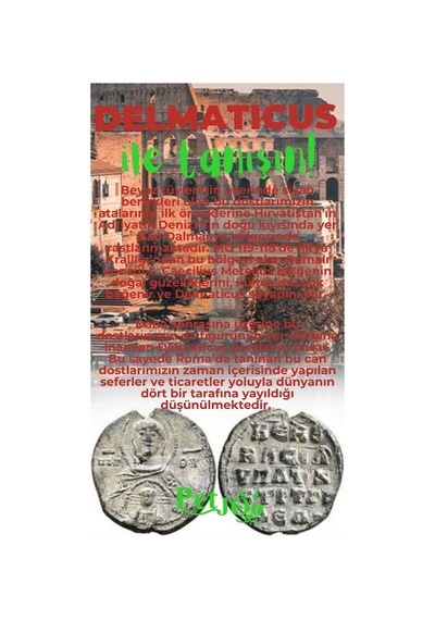 Petjoo 28.Delmaticus Yeşil-Kırmızı Qr'lı Köpek Künyesi