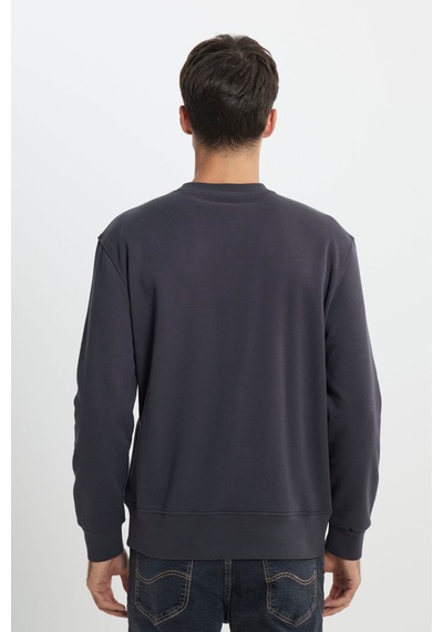 Regular Fit Normal Kesim Bisiklet Yaka İçi Polarlı Antrasit Sweatshirt Faded Black-l24216633w Regular Fit Normal Kesim Bisiklet Yaka İçi Polarlı Antrasit Sweatshirt Faded Black-l24216633w