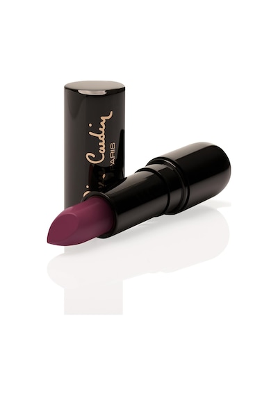Pierre Cardin Porcelain Edition Lipstick  - Berry Rouge - 231