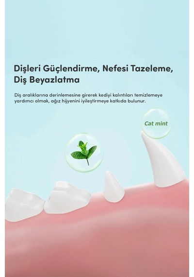Pawx Catnipli Yenilebilir Kedi Nanesi Otu Oyun Topu Oyuncağı Top Oyuncak Kedi Yalama Topu Avokado Yeşil