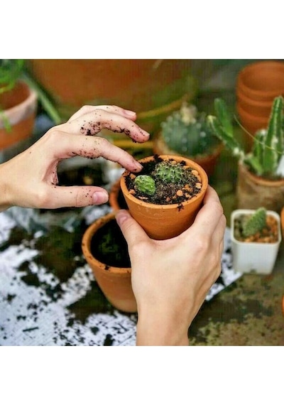 Bitki Toprağı Torf Karışımı 5 L