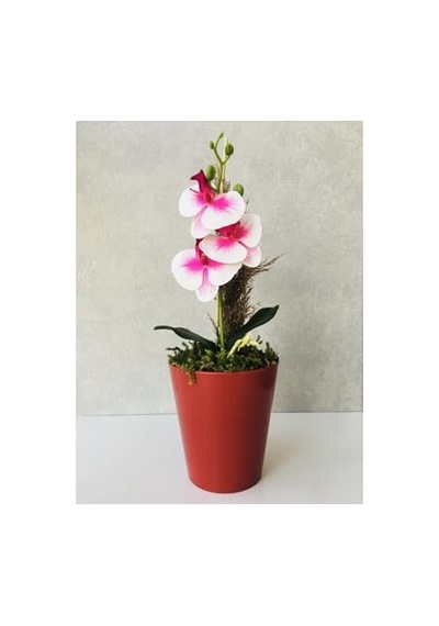 Orkide Yapay Çiçek, 38 Cm, Pembe-beyaz, Saksıda Diğer