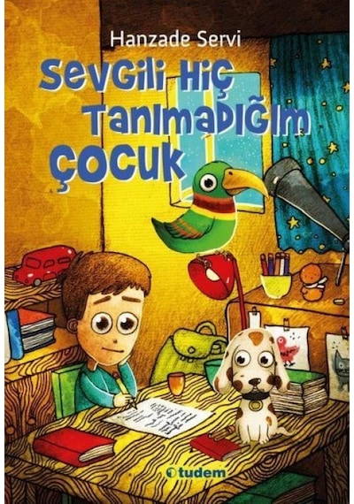 Sevgili Hiç Tanımadığım Çocuk - Yqbx-620027