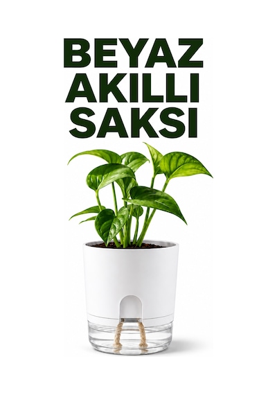 Akıllı Saksı Kendinden Sulamalı Fitilli Modern Dekoratif Saksı 2 Litre
