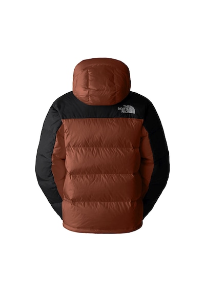 The North Face Erkek Hmlyn Down Parka Nf0a4qyx5po1 Bakır Çok Renkli
