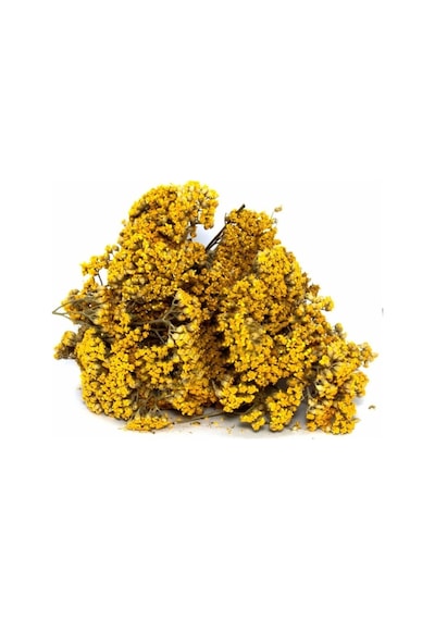 Derya Eren Civan Perçemi Achillea Millefolium 250 G