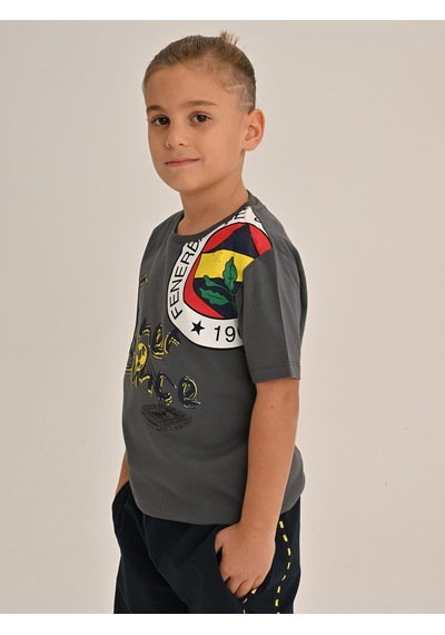 Çocuk Trıbun Logolu Fenerbahçe Tshırt Gri