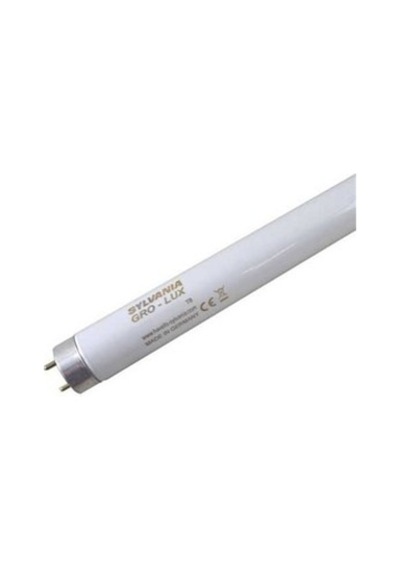 24W Daylıght Aqua-Classıc 55Cm Sylvania 5000 Kelvin