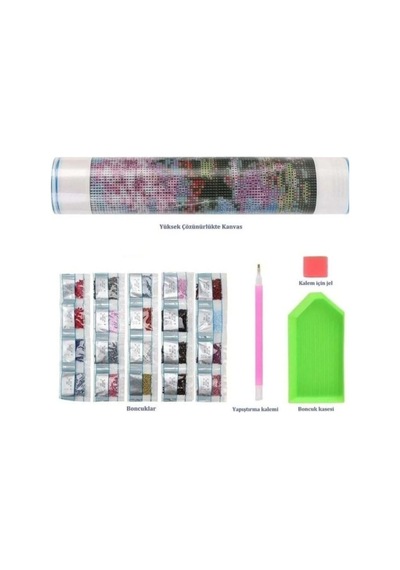 5d Elmas Boncuk Taş Işleme Mozaik Goblen Kit 30x30cm Ms17554 Diamond Painting Boncuk Puzzle Elmas Boyama