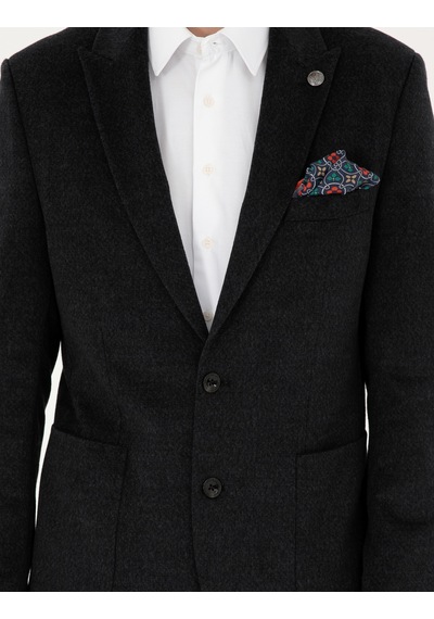 Pierre Cardin Erkek Antrasit Ceket 50296044-vr006