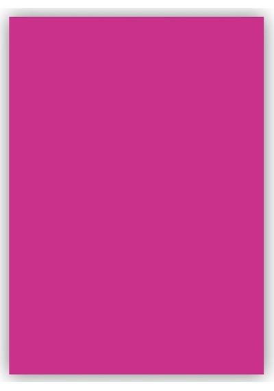Bigpoint Fon Kartonu 50x70cm 160 Gram Lila X 100 Adet