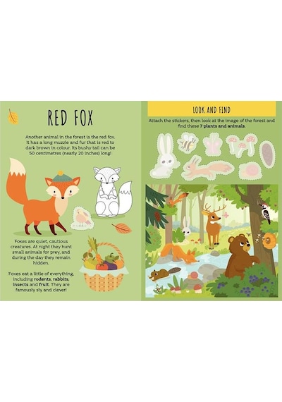 Sassi The Forest - Sticker And Activities