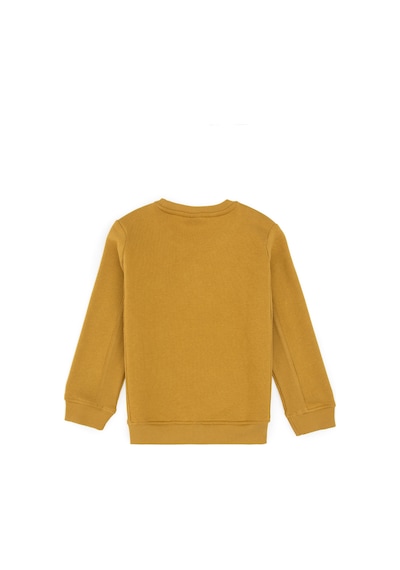 U.s. Polo Assn. Erkek Çocuk Petrol Sweatshirt 50316406-vr151 Oıl