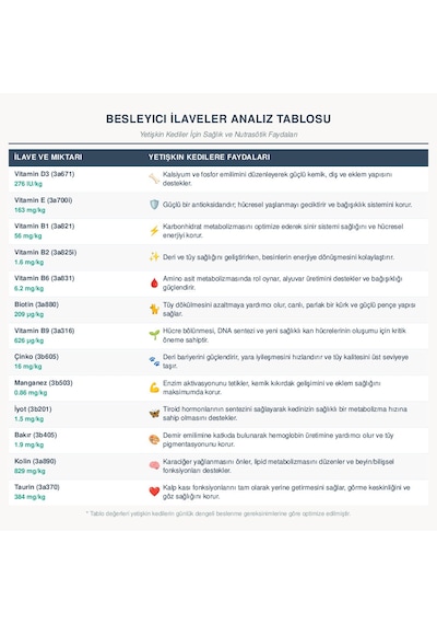 Anatolian Premium Biftekli Parça Etli Yetişkin Kedi Konservesi 24 x 400 G