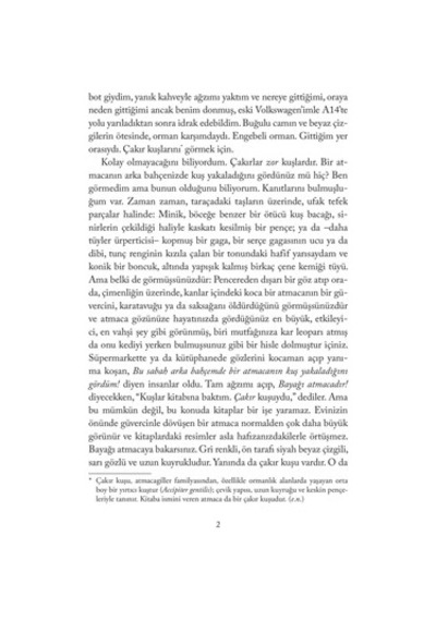 Atmacanın A'sı - Doğa Ve Hayat Üzerine