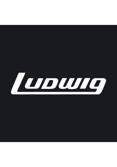 Ludwig Kupa Bardak Çok Renkli