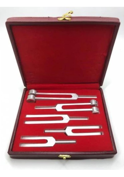 Vzn 5'li Diapozon Set Frekans 128, 256, 512, 1024, 2048 Diyapozon