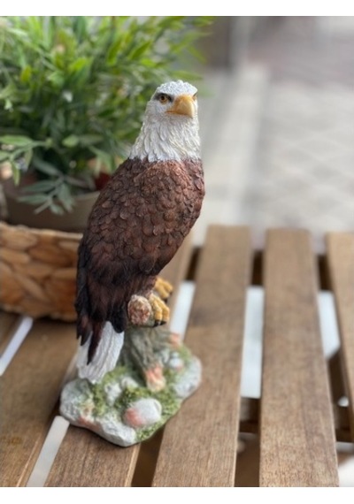 Renkli Kartal Biblo