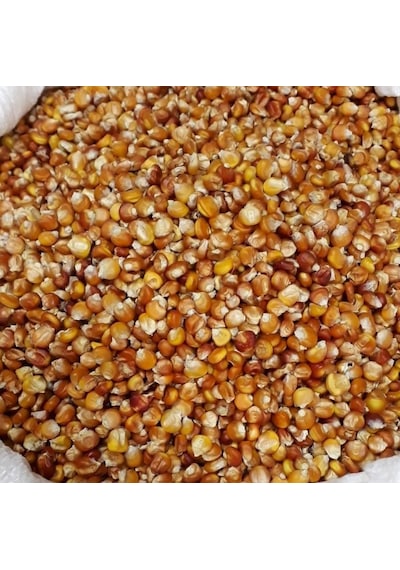 Yerli Kırmızı Tane Mısır Tohumu 50 GR