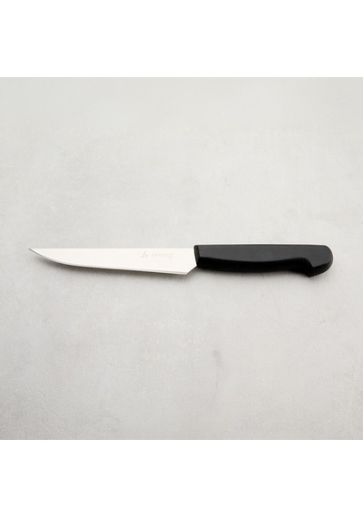 Aryıldız Noka Peynir Bıçağı Siyah 15 Cm Çok Renkli