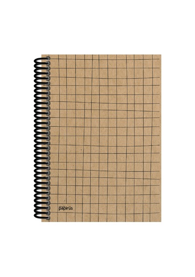 Papirüs Kraft Sert Kapak Defter 100yp 17x24cm Çizgili Standart