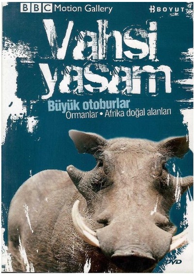 Bbc Motion Gallery - Vahşi Yaşam Büyük Otoburlar Ormanlar Afrika Doğal Alanları - Dvd
