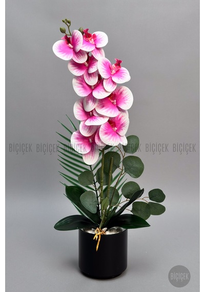 Yapay Phalaenopsi S Pembe Orki De 60 Cm Siyah