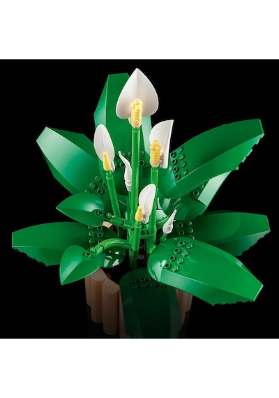 LEGO® Botanicals Barış Çiçeği 11504 - Yetiskinler için 6 Baris Çiçegi Içeren Koleksiyonluk Dekoratif Model Yapim Seti (474 Parça)